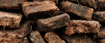 Торфяной бизнес